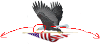 eagle graphic