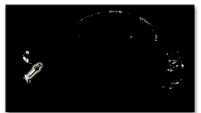 plotting white threshold